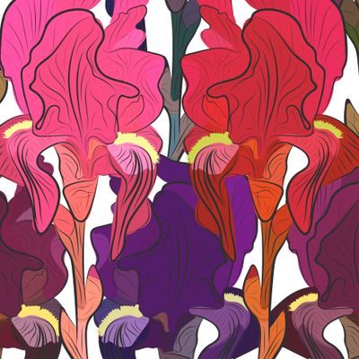 Iris flowers seamless pattern.