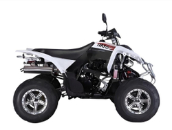 Квадроцикл RATO RТ250SТ-2