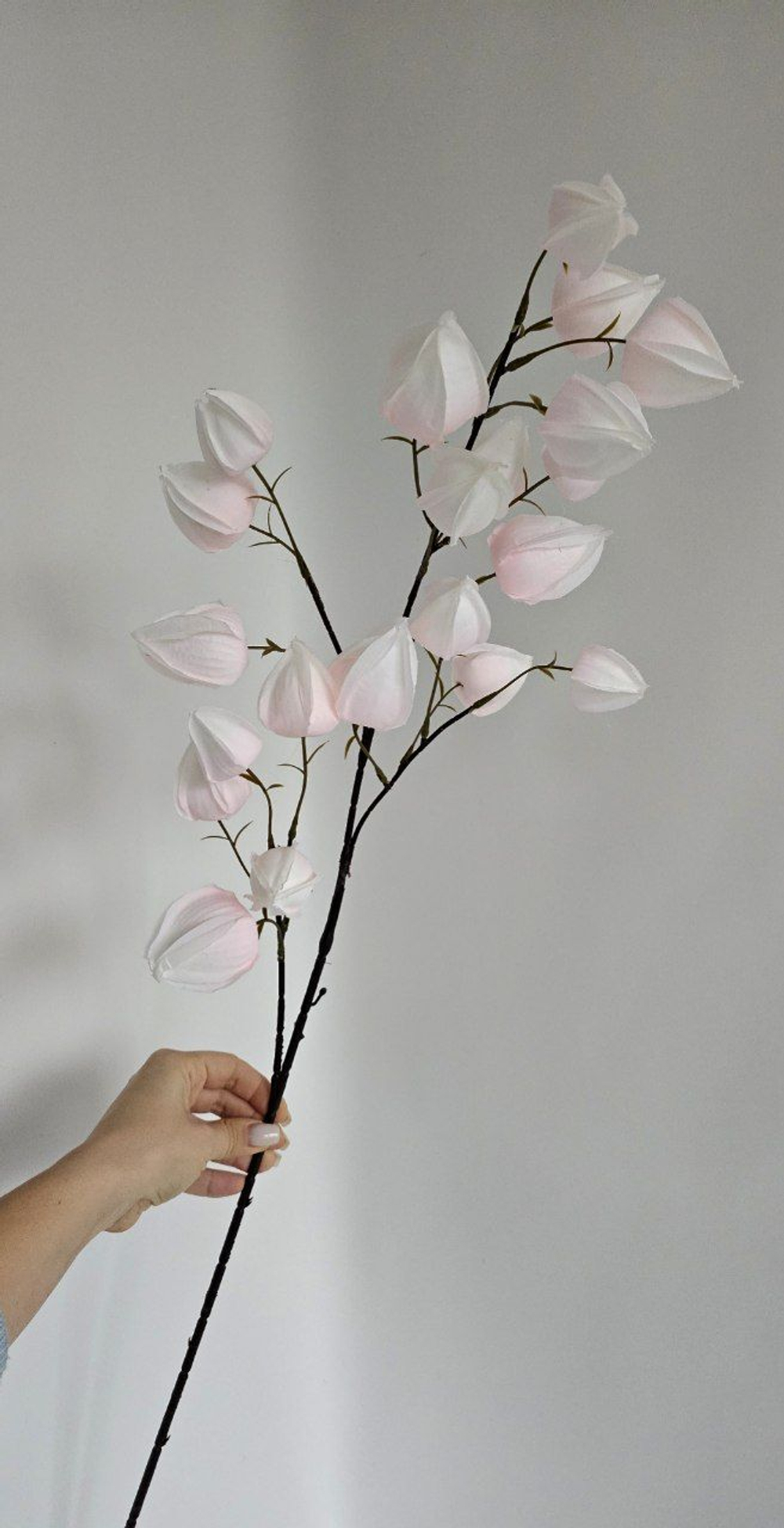 Физалис / Арт 2366