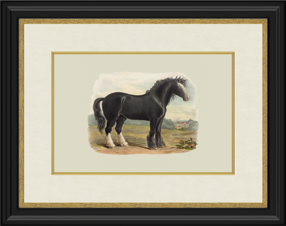 Картина 410 (X)