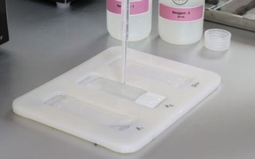 ЛОТОК ДЛЯ ПОГРУЖЕНИЯ ДНК-СЛАЙДОВ