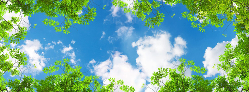 Небо №1 Фотообои и Фрески ручной работы