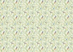 Gloockler Pompoos Provence