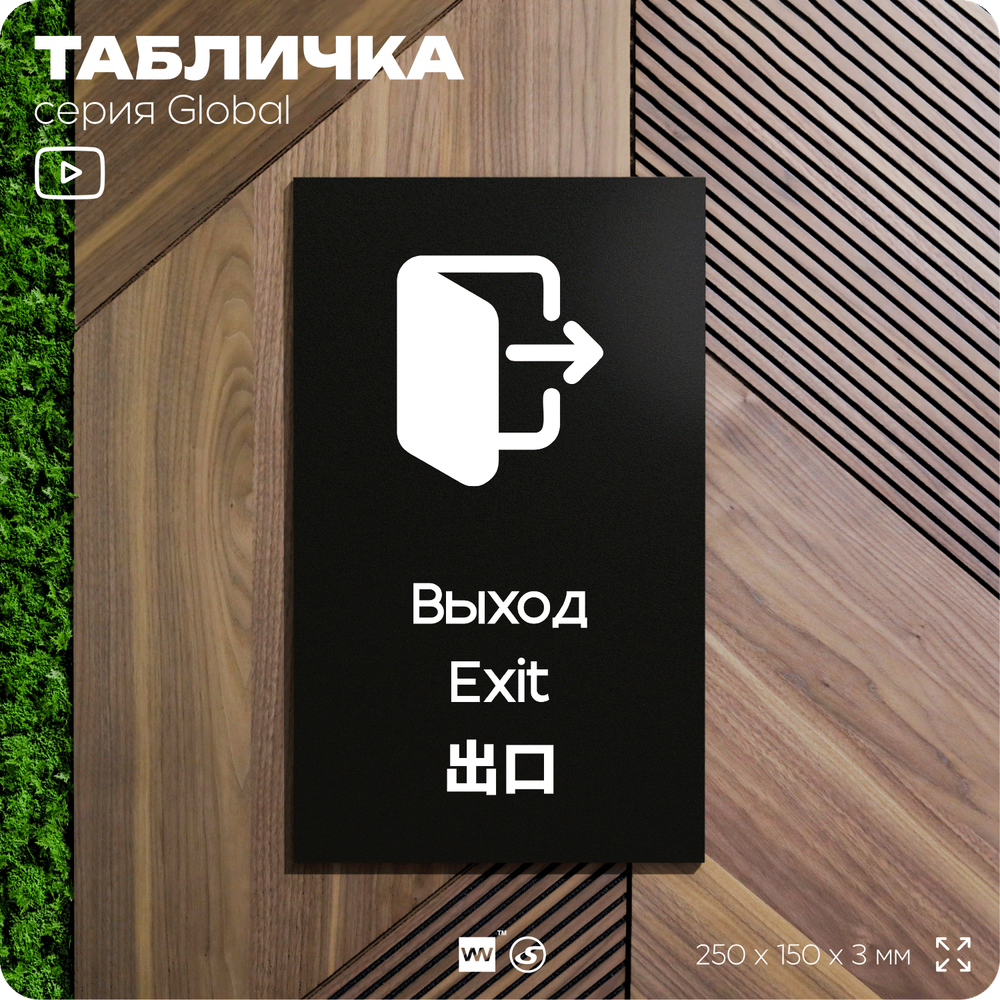 Табличка Выход, на дверь и стену, информационная и мультиязычная (русский, английский, китайский), серия GLOBAL, 25х15 см, Айдентика Технолоджи