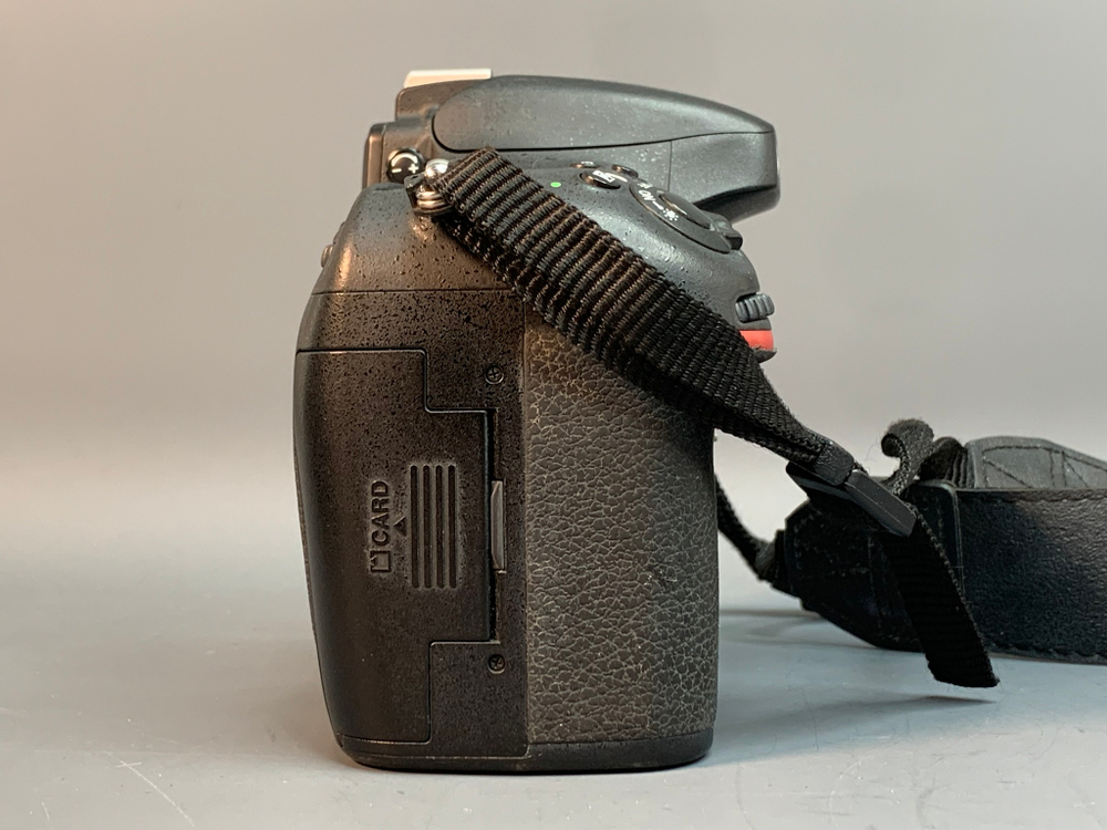 Nikon D800E