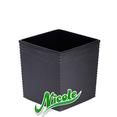 Кашпо Юкка dluto