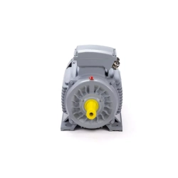Электродвигатель ESQ PR 160 M6 GST-Б1-S12-IE2 15/1000 IM2001