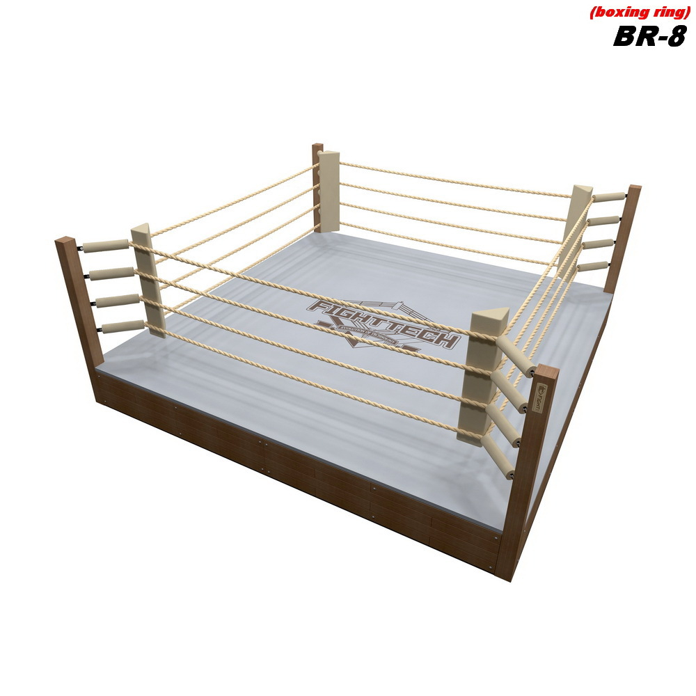 Боксерский ринг в эксклюзивном исполнении