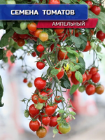 СЕМЕНА ТОМАТ АМПЕЛЬНЫЙ (ЧЕРРИ) Д, ЯРКО-КРАСН ДЛЯ ПОДОКОННИКА *20ШТ УРОЖАЙ ДОМА