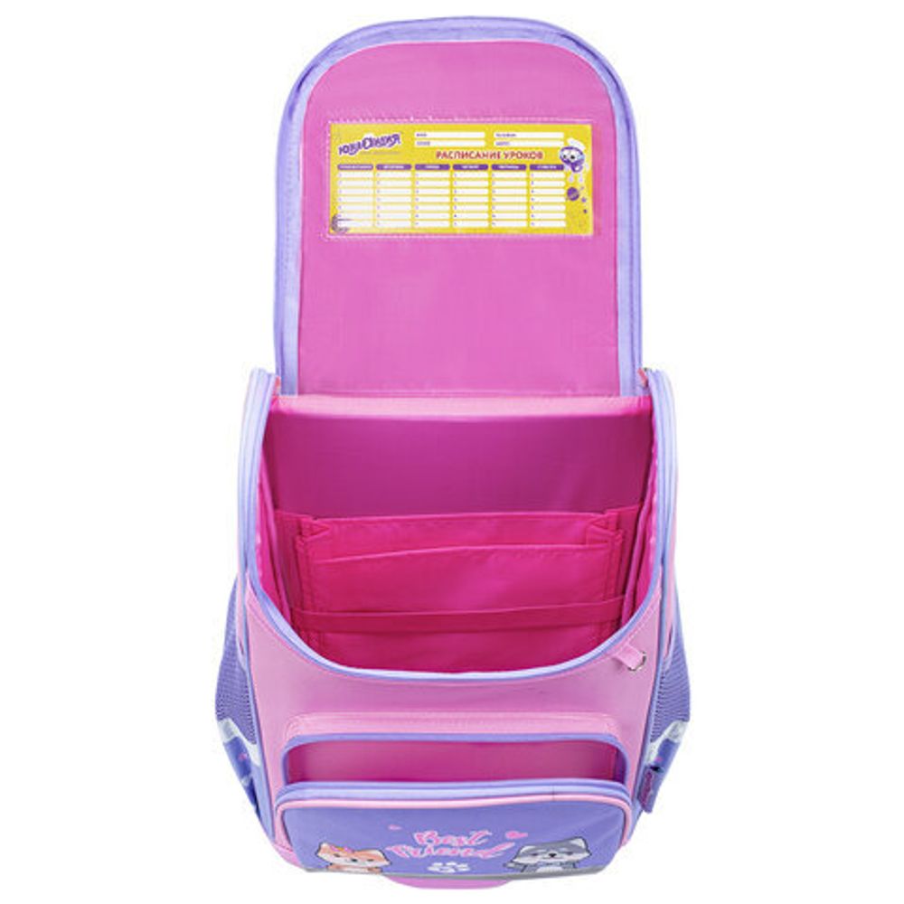 Ранец ЮНЛАНДИЯ WISE, 1 отделение, 3 кармана, устойчивое дно, Best fellows, 37х29х15 см, 273161