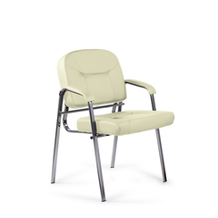 Форум СН Z21 (бежевый)