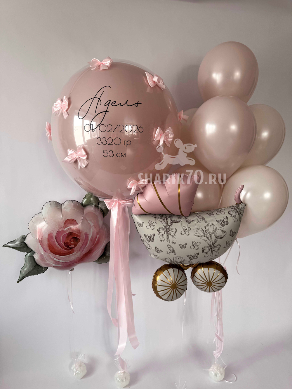 Выписка из роддома ДЕВОЧКА 031