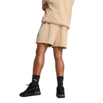 Баскетбольные шорты Puma Ancient Roars Terry Beige Shorts