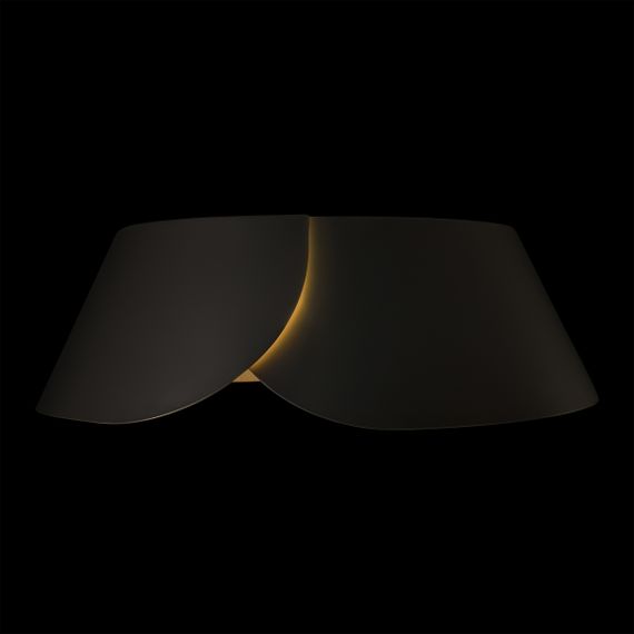 Потолочный светильник LOFT IT Lane 10370 Black