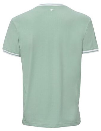 Мужская теннисная футболка Tecnifibre Team Stretch - sage
