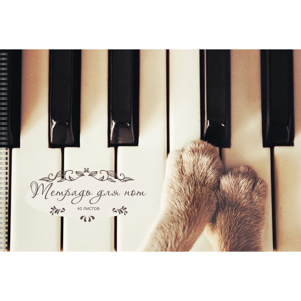 Тетрадь для нот А4 40л. "Музыкант" (Эксмо)