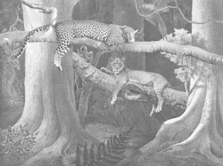 Коллекция ZENITH