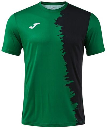 Мужская теннисная футболка Joma Picasho Short Sleeve - green black