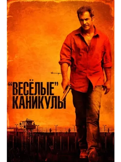 Весёлые каникулы (2011) (DVD-R)