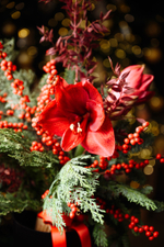 Букет Рождественская звезда