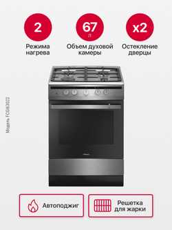 Газовая плита Hansa FCGI63022