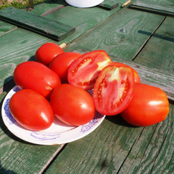 Помидоры - Amos Coli - Амос Коли