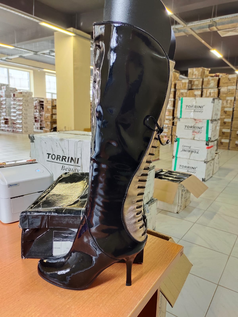 Сапоги женские TORRINI CH-2-04S \TRC-1233