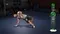 Xbox 360 UFC Personal Trainer: The Ultimate Fitness System (только для Kinect) (Б/У, Английская версия)