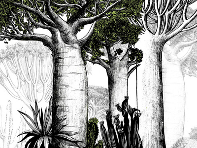 Дизайнерские обои Wall Street Zoo