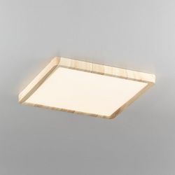 Накладной светильник Citilux Бейсик CL738K242V