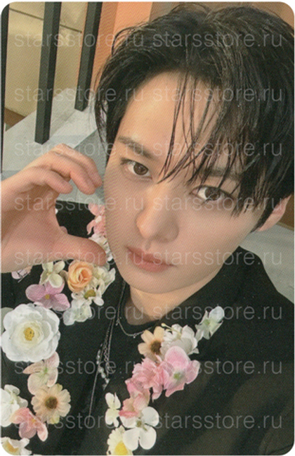 Фотокарта Lee Know Stray Kids - Hollow (Tower Records)