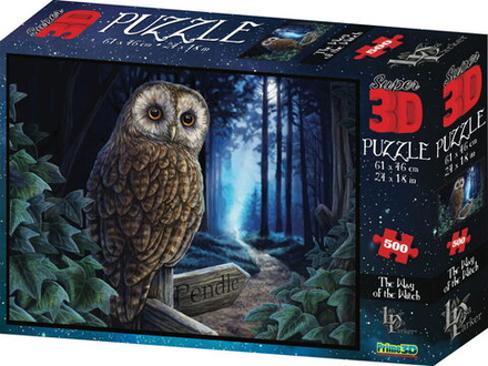 Пазл 3D 500 дет. 61*46см "Путь магии"