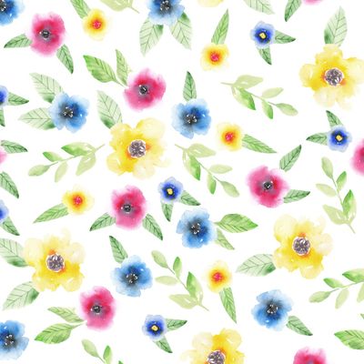 Летние цветы