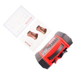 SPRINT-20D Интеллектуальное зарядное устройство