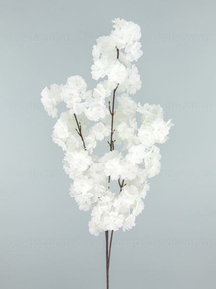 Сакура Пышная супер белая