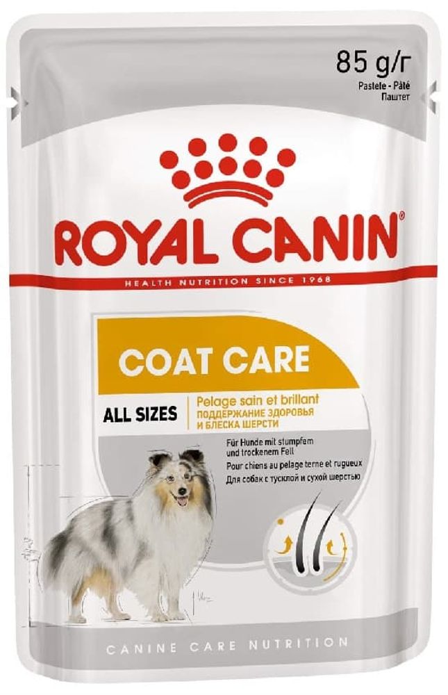 Royal Canin 85г Coat care паштет для собак (Здровье и блеск шерсти) Royal Canin 85г Coat care паштет для собак (Здровье и блеск шерсти)