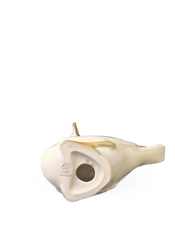 Фарфоровая статуэтка "Чайка" ЛФЗ