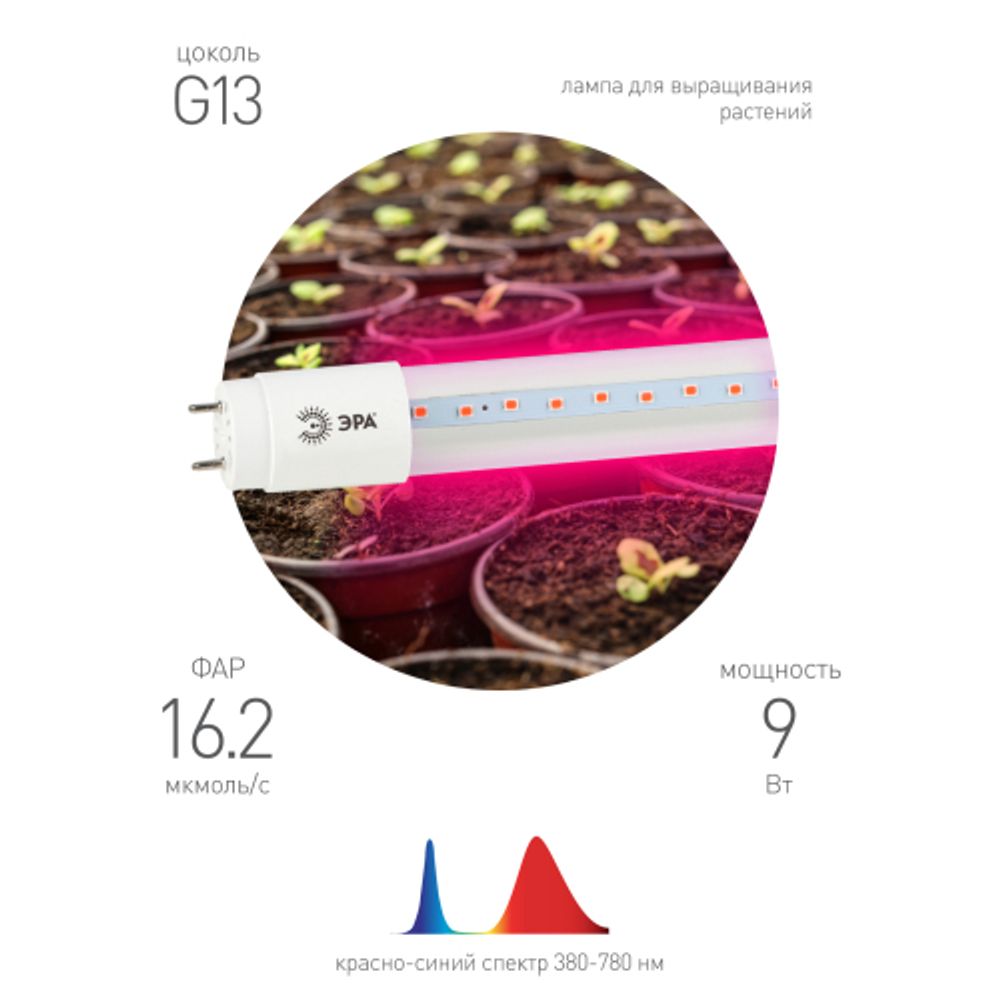 Фитолампа для растений светодиодная ЭРА FITO-9W-RB-Т8-G13-NL и мясных прилавков 9 Вт Т8 G13 красно-синего спектра