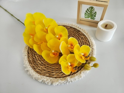 Орхидея "Перфект" 06