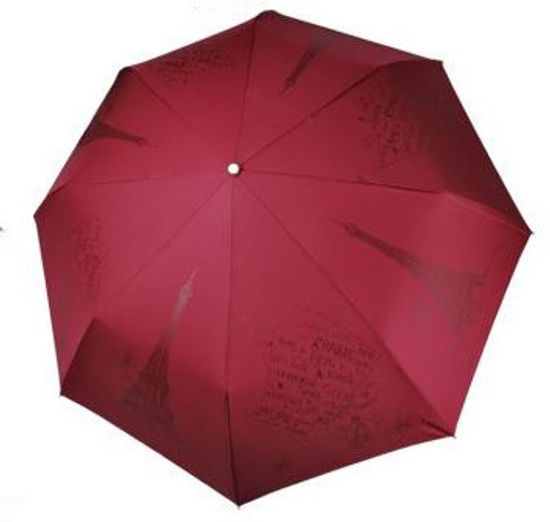 Женский зонт Три Слона  - Полный автомат 198-A-09