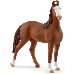 Schleich S 14897 — Кобыла марвари — Horse Club — фото 1
