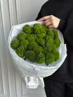 Моно букет из диантусов сорта Грин трик 25 шт