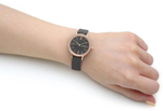 Женские наручные часы Skagen SKW2909