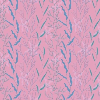 Под водой. Растения и морские звёзды