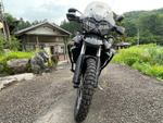 Triumph Tiger 800 XC 038394