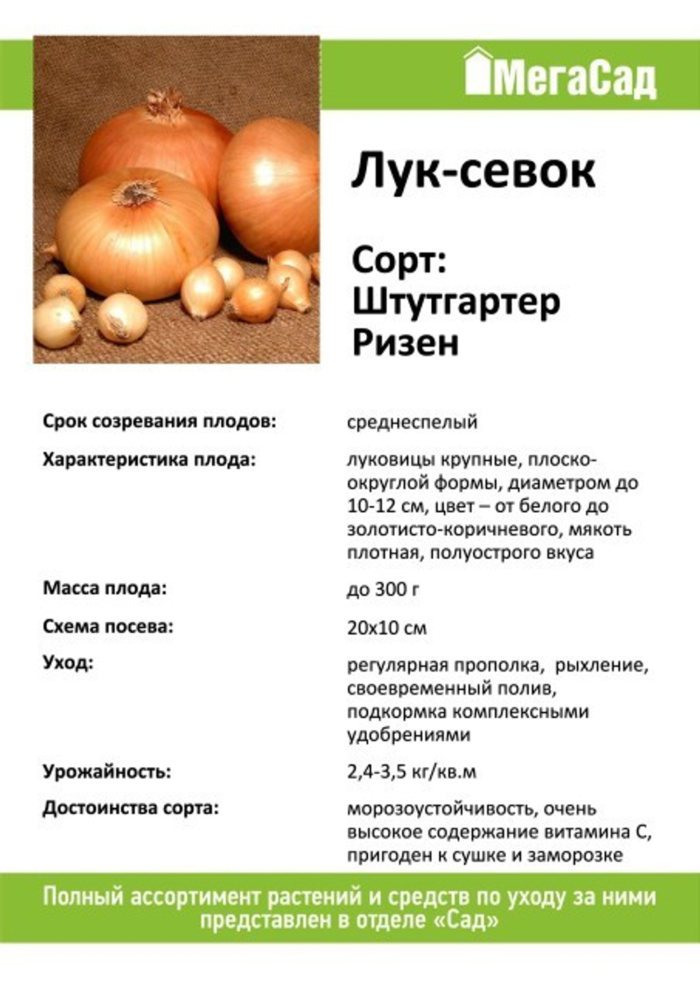 Лук севок сорт Штуттгартер Ризен 450гр