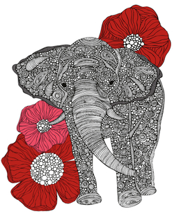 Коллекция Животные