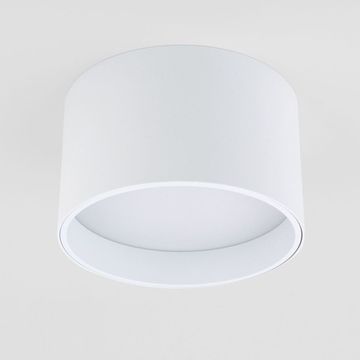 Светильник потолочный светодиодный Banti 13W 3000K белый 25123/LED Elektrostandard