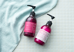 Набор для волос с растительными стволовыми клетками Superfood Lab