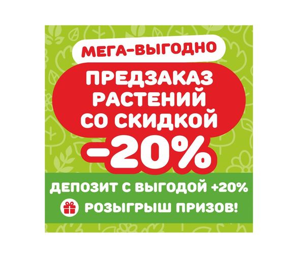 ПРЕДЗАКАЗ РАСТЕНИЙ СО СКИДКОЙ -20%🔥 и Депозит +20% вашей выгоды